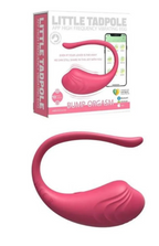 19 - Vibrador Larga Distancia – Controlado por App